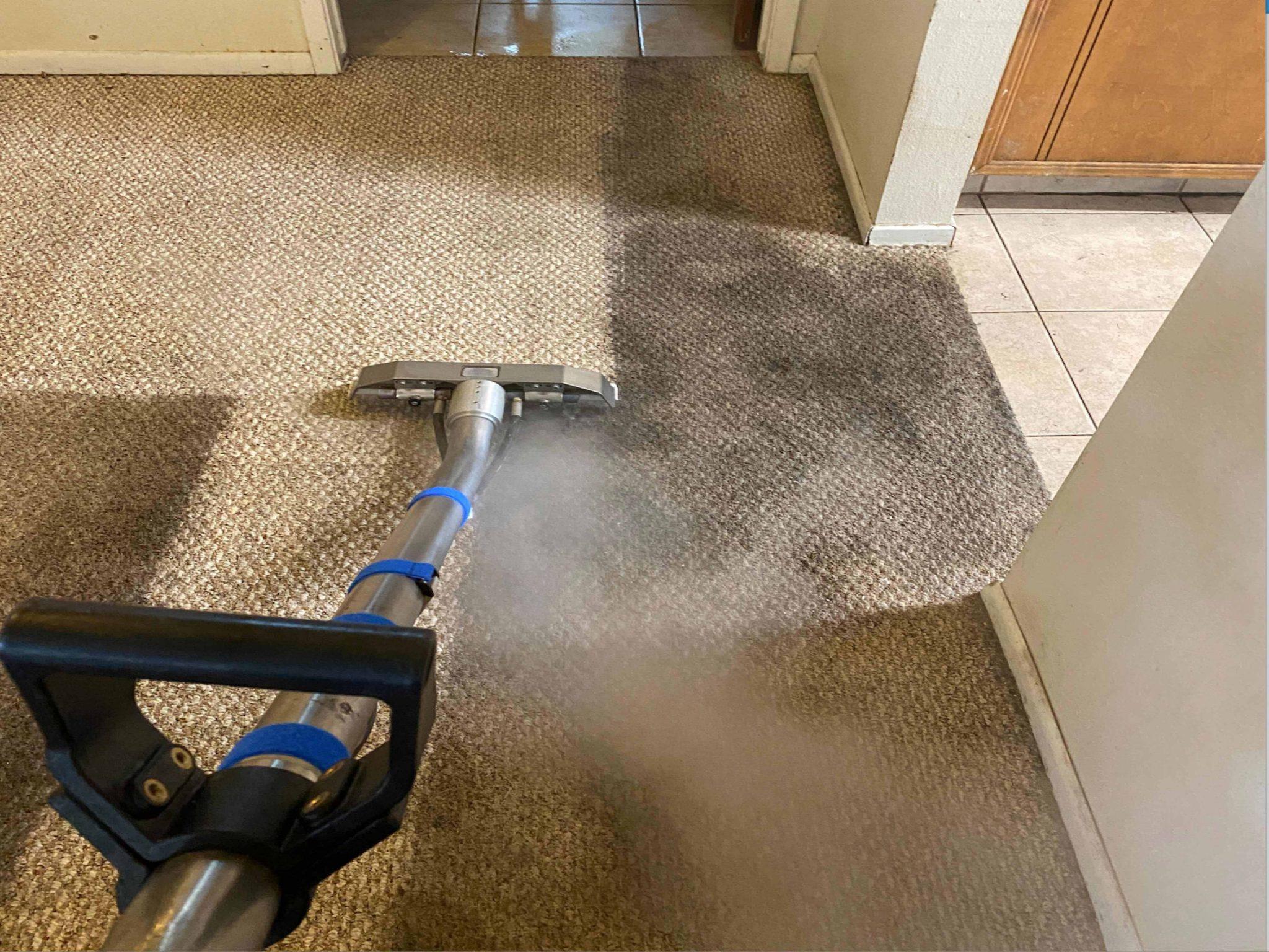 How To Dry Your Wet Carpet Easy And Fast Ways 5 Methods