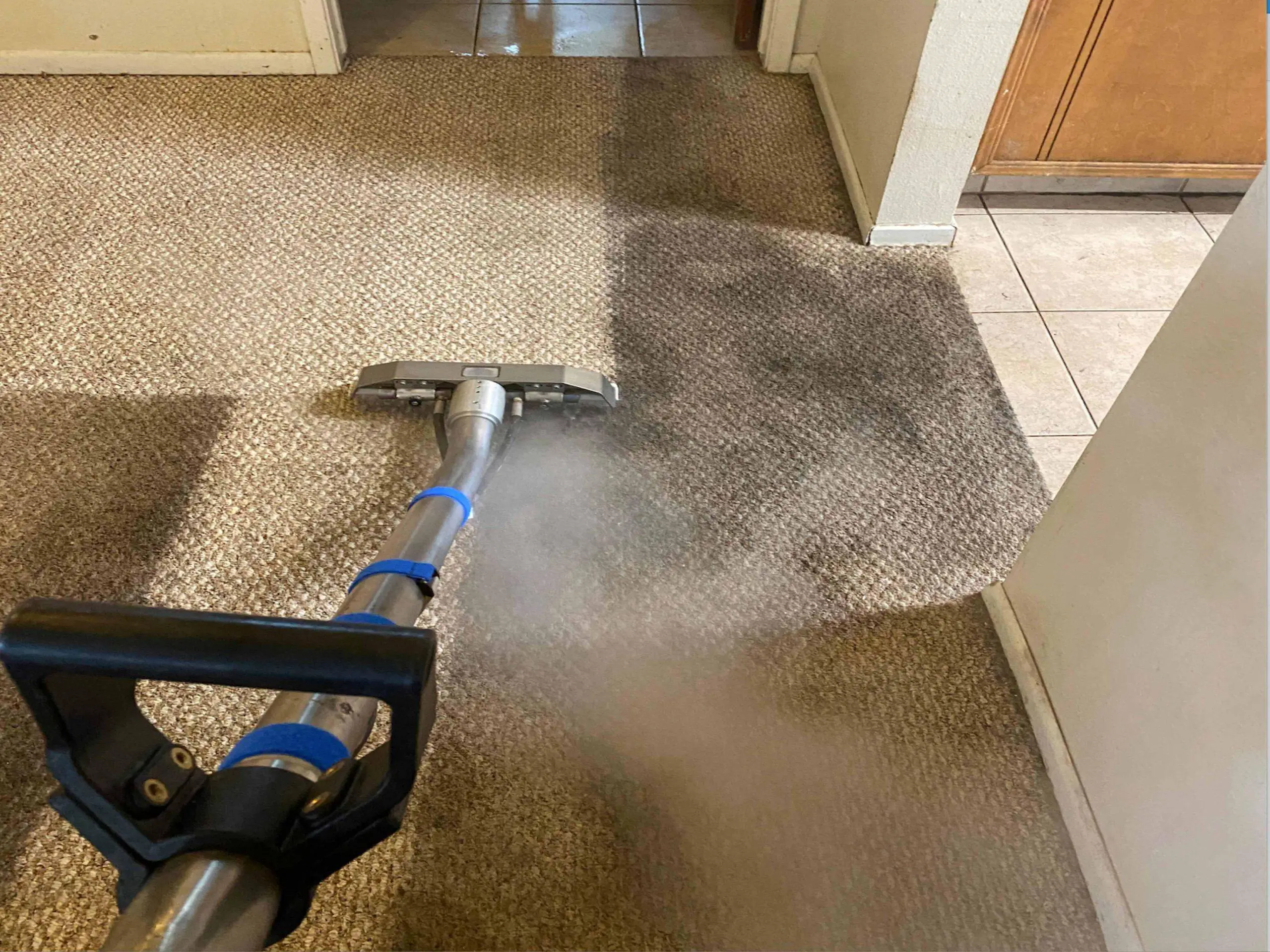 How to dry your wet carpet: easy and fast ways